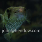 20130529-IMG_1463-2