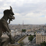 Notre Dame - Paris, France 5/17/2016